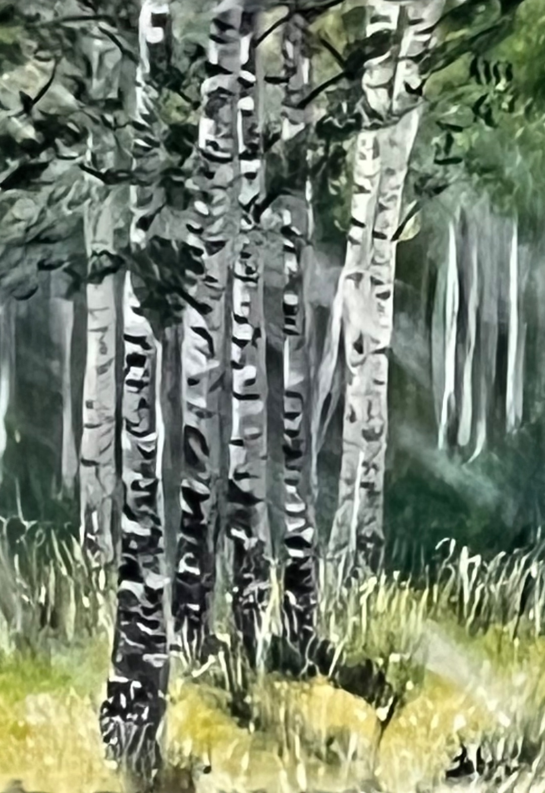 Whispers of Peace — birch trunks in a misty green forest